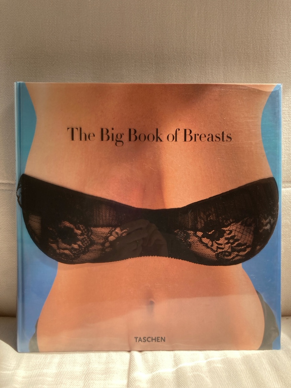 Big Book of Breasts by Hanson, Dian (2006)
